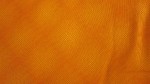IMG_1362_2
