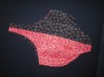 IMG_1434_1